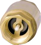 Brass check valve