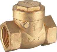 Swing Check Valve