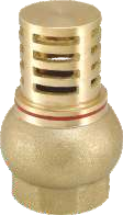 Foot Valve
