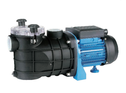 FCP Swimming Pool Pump