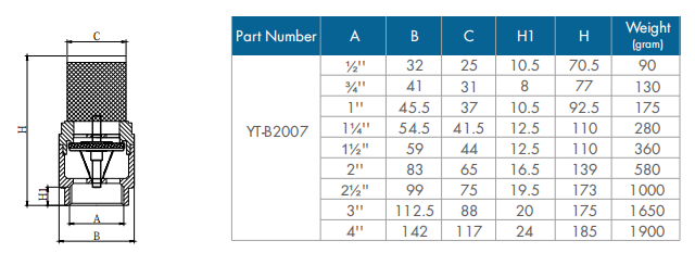 Check valve with filter-1.png